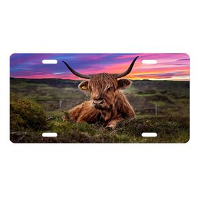 Highland Cow Vanity Decorative Aluminum Front License Plate, Car Accessory, Vanity Tag (Cute Highland Cow and Sunflowers)