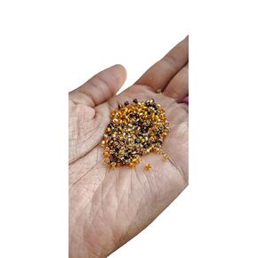 Beaditwearitloveit Small Earth Tone Loc Sprinkles Hair Beads, Braid Jewelry Dreadlock Accessories, Size 8/0 Dread Sprinkle Beads, Loc Jewelry