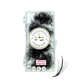 1000 Premade Wispy Fans EyeLash Extensions Spikes 5D 7D Promade Fan Mixed Lengths 9mm-16mm Curl D - C Professional Volume Lash (7D | D | 0.05 | 9mm)