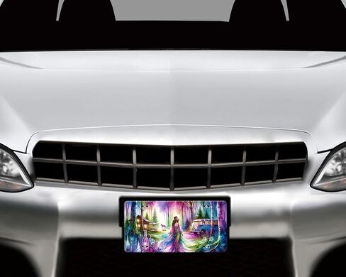 Fantasy Vanity Decorative Aluminum Front License Plate, Car Accessory, Vanity Tag (Dragonfly and Fairies) in Saudi Arabia