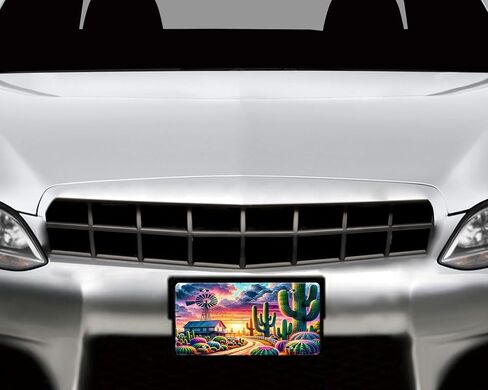 Vanity Decorative Front License Plate - Cute Car License Plate Made in the USA - Aluminum Metal Plate - Premium Quality Car Plate - Front Plate for Car (Not All Who Wander Are Lost Feather) in Saudi Arabia
