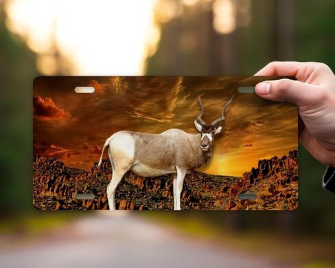 Hunting Wildlife Vanity Decorative Aluminum Front License Plate, Car Accessory, Vanity Tag (Bear at Sunset River) in Saudi Arabia