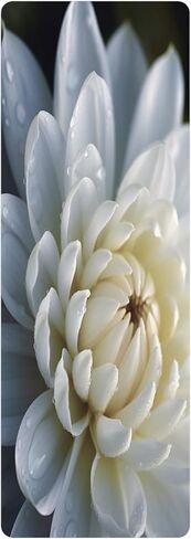 Eternal Grace: Microfiber Rubber Yoga Mat | Pure Peaceful White Lotus Blooming Flower | Harmony Mind and Body Fitness Accessory 24" x 68" in Saudi Arabia