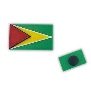 Guyana Flag Shoe Charm, Made in USA