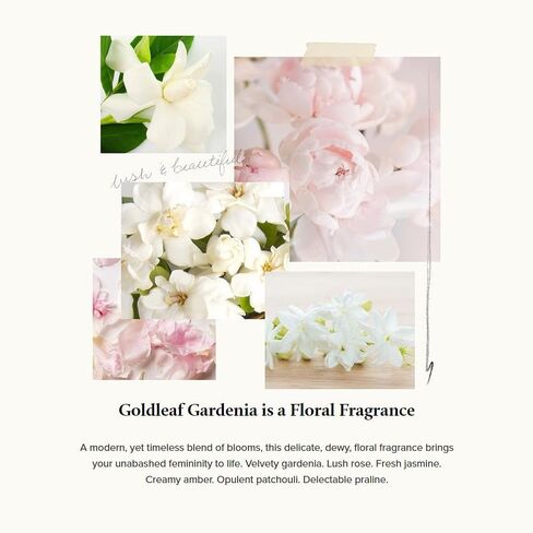 Thymes Goldleaf Gardenia Perfumed Body Crème - Moisturizing Body Cream - Shea Butter Body Lotion with Aloe Vera & Honey for Skin Care Routine - Body and Hand Lotion for Women & Men (9.25 fl oz) in Saudi Arabia