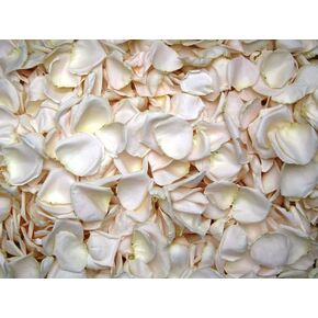 Rose Petals for Wedding Decoration, Bridal Toss, and Aisles, 10 cups, Freeze Dried, Use within 1 month (Yellow)
