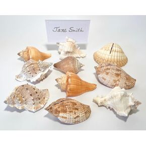 Seashell Card Holders - Set of 10 + Cards - Coastal or Beach Wedding Shell Place Card Holders Escort Card Holders