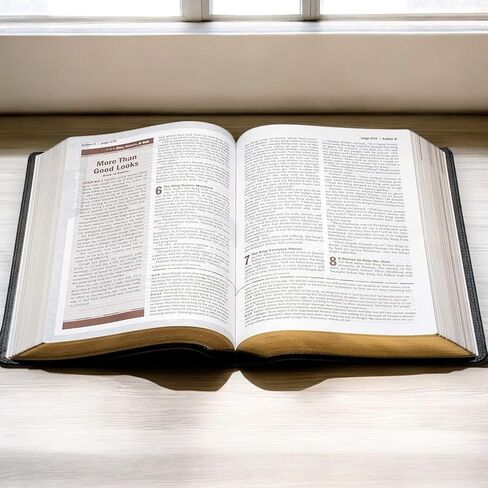 Personalized Every Man's Bible NLT Deluxe Edition | Warrior of God Laser Engraved Bible with Name | LeatherLike Brown Study Bible for Men | Book Introductions, Study Notes and 44 Charts in Saudi Arabia