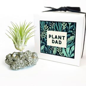 Unique Dad Gifts for Plant Dads; Pyrite Crystal Air Plant Holder for Desk or Office, Indoor Plant Gift for Best Dad Ever, Small Plant for Home Office; Easy Plant for Lazy Plant Dads