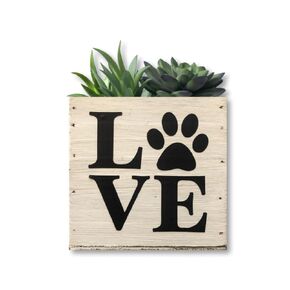 Paw Love Succulent Planter, Cute Gift for Cat and Dog Lovers, Veterinarian, Decorative Bin (5 square inches, Whitewashed Wood)