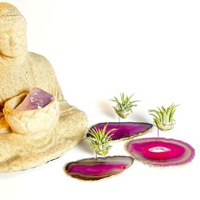 Plant and Crystal Gift for Her, 3 Small Pink Agate Crystal Air Plant Holder Gift Includes Healthy Plant and Rock n Air Gift Box
