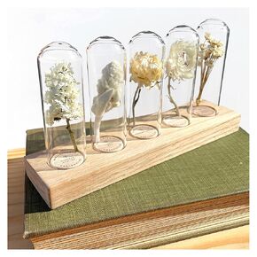 مجفف زهرة terrarium (الزهور البيضاء ، لهجة ديكور الذهب) هدية Housewarming | هدية الزفاف | ديكور طبيعي | ديكور طاولة القهوة | وجدها على الأمازون | أمازون تجد | ديكور المنزل الأمازون