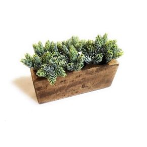 Rustic Farmhouse Wooden Candle Holder- Sugar Mold Candle Holder- Succulent Planter (2 Hole)