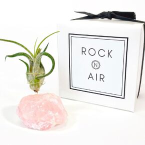 Raw Rose Quartz Crystal Air Plant Holder Christmas Holiday Gift - Geode Air Plant Display, Air Plants Crystals Stand, Crystal Air Plant Holder, Air Plant Small Planter (Rock n Air)