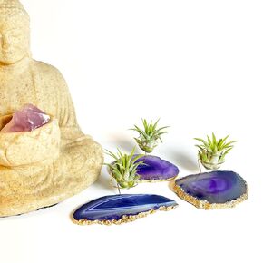 Unique Air Plant Holders for Boho Home Decor, 3 Small Gold Dipped Purple Agate Cyrstal Air Plant Holders, Live and Healthy Air Plant and Gift Box Included, Meaningful Gift for Her
