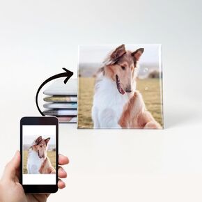 Custom Photo Magnet 2x2" – Set of 1 – Personalized Square Fridge Magnet with Your Picture – 50x50mm Keepsake for Baby Photos, Pets, Memorials, Kids’ Art, Family Moments, Weddings & Thoughtful Gifts in Saudi Arabia