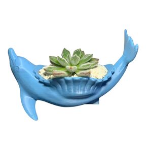 دلفين على شكل مزهرية/زارع