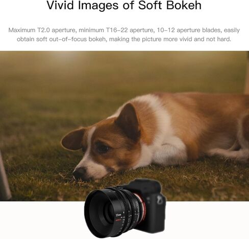 7artisans 4 مم F2.8 عدسة عين السمكة، عدسة كاميرا بزاوية واسعة للغاية APS-C لكاميرات M4/3 EPM1 EPM2 EPL1 EPL2 EPL7 EPL9 E-M1 E-M5 E-M10 E-Pen-P G1 G2 G3 GX7 GX8 GM5 GM10 GH3 GH5 in Kuwait