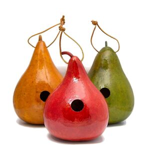 Gourd Birdhouses - Birthday Gift for Bird Lover - Birdhouse Gourds - Green -Red- Yellow