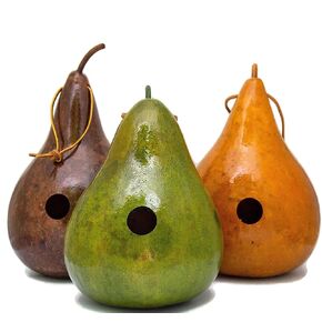 Gourd Birdhouses - Birthday Gift for Bird Lover - Birdhouse Gourds - Green - Mahogany - Yellow