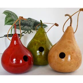 Gourd Wren House - Small - Set of 3 - Bird Lovers Gift or Mothers Day Gift