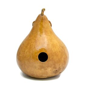 Gourd Birdhouse Natural
