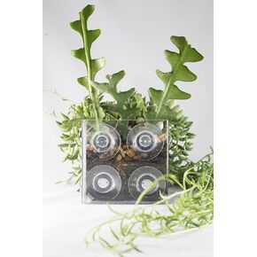 Revolutionary 3" Suction Cup Window Planter - Brilliantly Easy-to-Attach 3"x3"x3" Cube - Transform Your Window into a Lush Garden