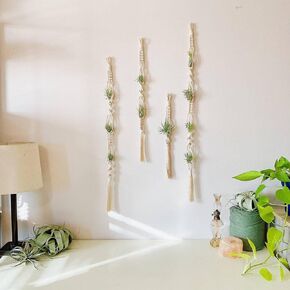 4 Pieces Macrame Air Plant Hanger Handmade Tassel Holders Airplants Pineapple Display Wall Hanging Planter Boho Flower Woven Basket Balcony Decorative Home Decoration