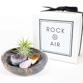 Natural Stone Smudge Bowl Air Plant Holder for Crystals and Air Plant, Includes Healthy Air Plant, Small Amethyst, Citrine and Rose Quartz Crystal Unique Self Care Wellness Gift