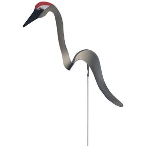 Dancing Yard Sandhill Crane