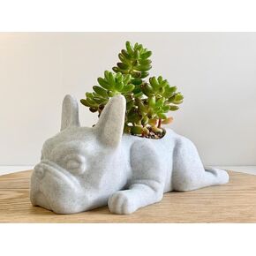Doggy Planter | French Bulldog Planter Gift Idea, Bar Decor, Table Decor, Plant Gift Idea, Cute Succulent Planter, any canine/dog/French bulldog and plant lover! (Marbel)