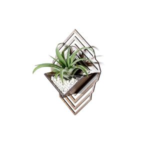 Sconce Wall Planter [M] // Walnut - Wall Hanging Plant Holder Aerium for Tillandsia (Air Plant), Succulent, Cactus