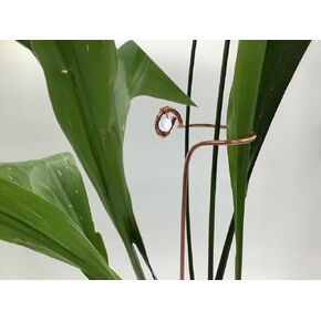 Plant Stake or Flower Stake Solid Copper (10, Crystal)