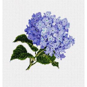 Pepita Needlepoint Canvas: Cynangea Bunch ، 10 "× 10"