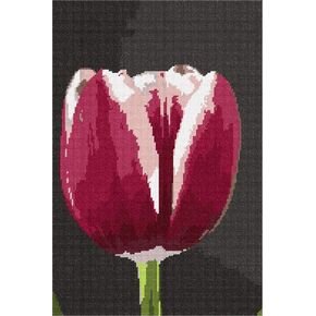 Pepita Needlepoint Canvas: Tulip Bulb ، 7 "× 10"