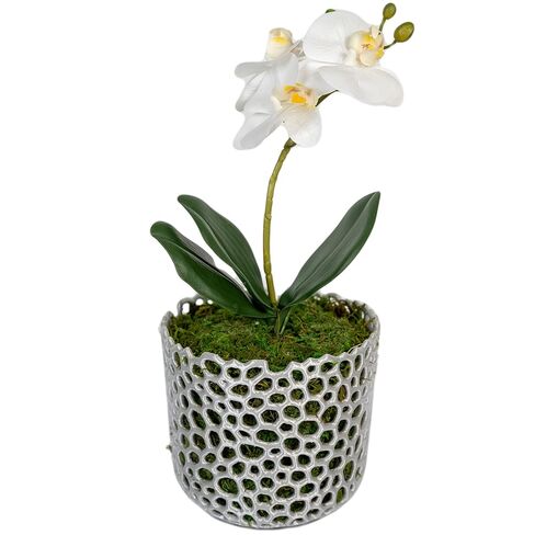 Orchid Pot Mesh Cylinder Pot Orchid Pot Mesh Orchid Pot Orchid Planter Airplant Pot Succulent Pot Voronoi Pot (Black) in Kuwait