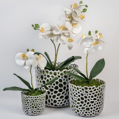 Orchid Pot Mesh Cylinder Pot Orchid Pot Mesh Orchid Pot Orchid Planter Airplant Pot Succulent Pot Voronoi Pot (Black) in Kuwait