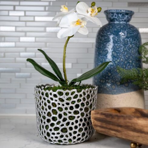 Orchid Pot Mesh Cylinder Pot Orchid Pot Mesh Orchid Pot Orchid Planter Airplant Pot Succulent Pot Voronoi Pot (Black) in Kuwait
