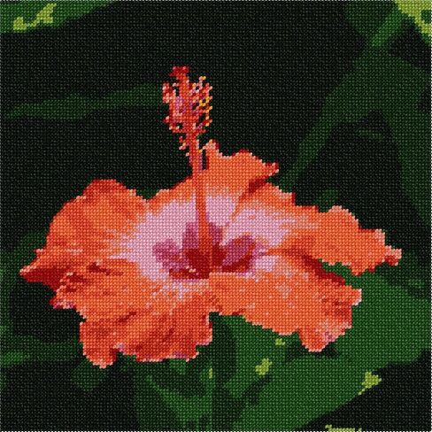 Pepita Needlepoint Canvas: الكركديه الاستوائي ، 10 "× 10" in Kuwait