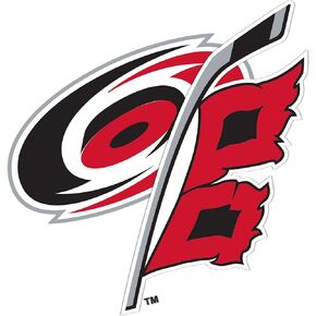 Desert Cactus Carolina Hurricanes Team NHL National Hockey League Sticker Vinyl Decal Laptop Water Bottle Car Scrapbook (4 inch Sticker)