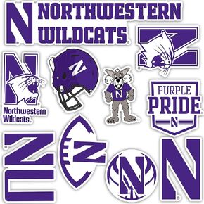 Northwestern University Sticker NU Wildcats Stickers Vinyl Decals Laptop Water Bottle Car Scrapbook T2 (Type 2)