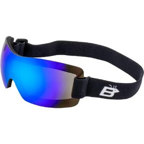 Birdz Wren Sport Skydiving Snowboarding Motorcycle Riding Goggles Blue Mirror Lens