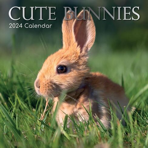 2024 Square Wall Calendar, Cute Bunnies, 16-Month Animals Theme with 180 Reminder Stickers (12 x 12 In) in Saudi Arabia