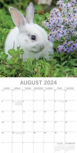 2024 Square Wall Calendar, Cute Bunnies, 16-Month Animals Theme with 180 Reminder Stickers (12 x 12 In) in Saudi Arabia