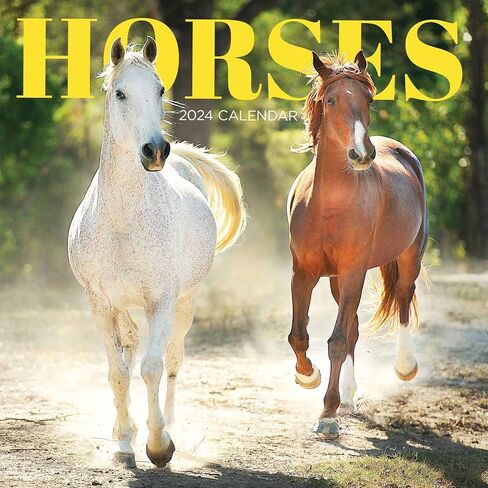 TF Publishing, Horses 2024 Wall Calendar in Saudi Arabia