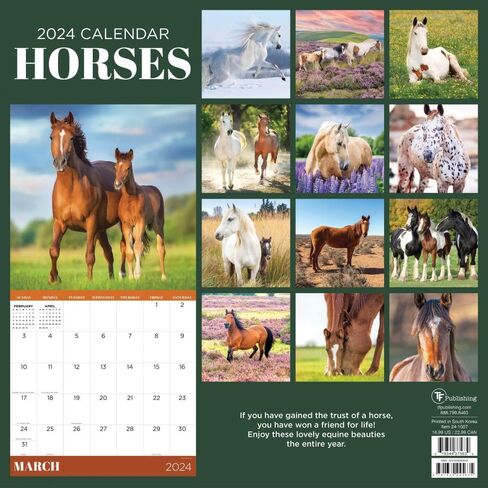 TF Publishing, Horses 2024 Wall Calendar in Saudi Arabia