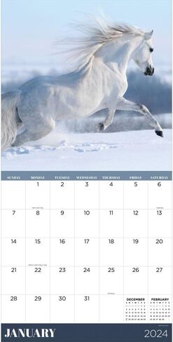 TF Publishing, Horses 2024 Wall Calendar in Saudi Arabia