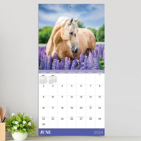 TF Publishing, Horses 2024 Wall Calendar in Saudi Arabia