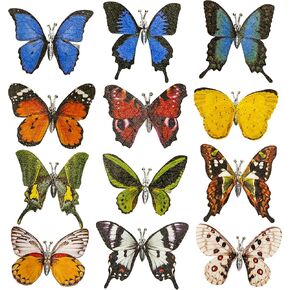 Wandelande Co.-Decorative Paper Butterfly Picks, 12 Pieces, Multicolor, with Clips for Floral Arrangements