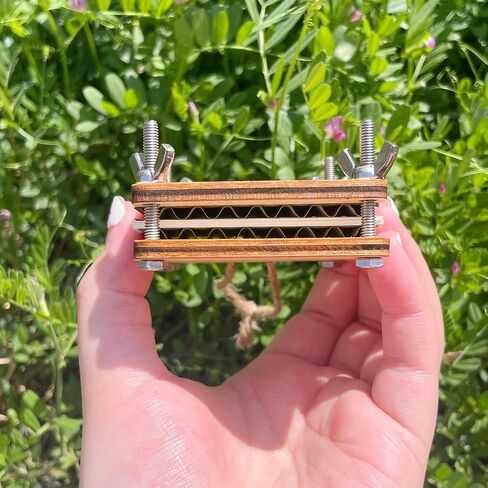Happinit Pocket Flower Press, Small Flowers Press Kit, Micro Flower Pressing, Mini Plant Preservation Kit for Arts and Crafts Lovers (Gold) in Saudi Arabia